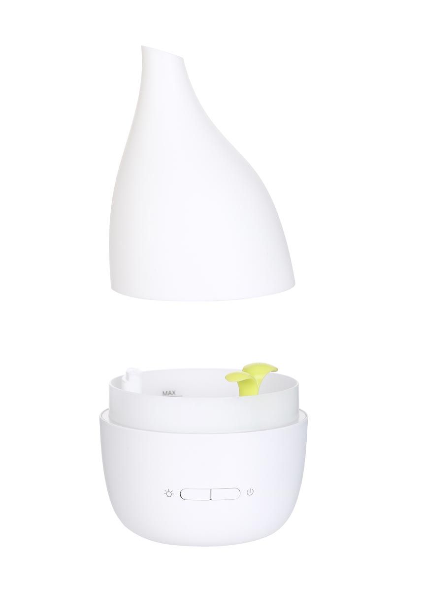 Miniso