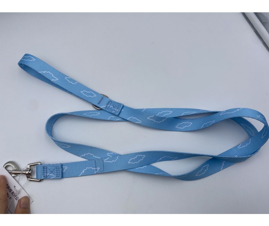 Coloradio Pet Leash - 2.0*150cm(Blue)