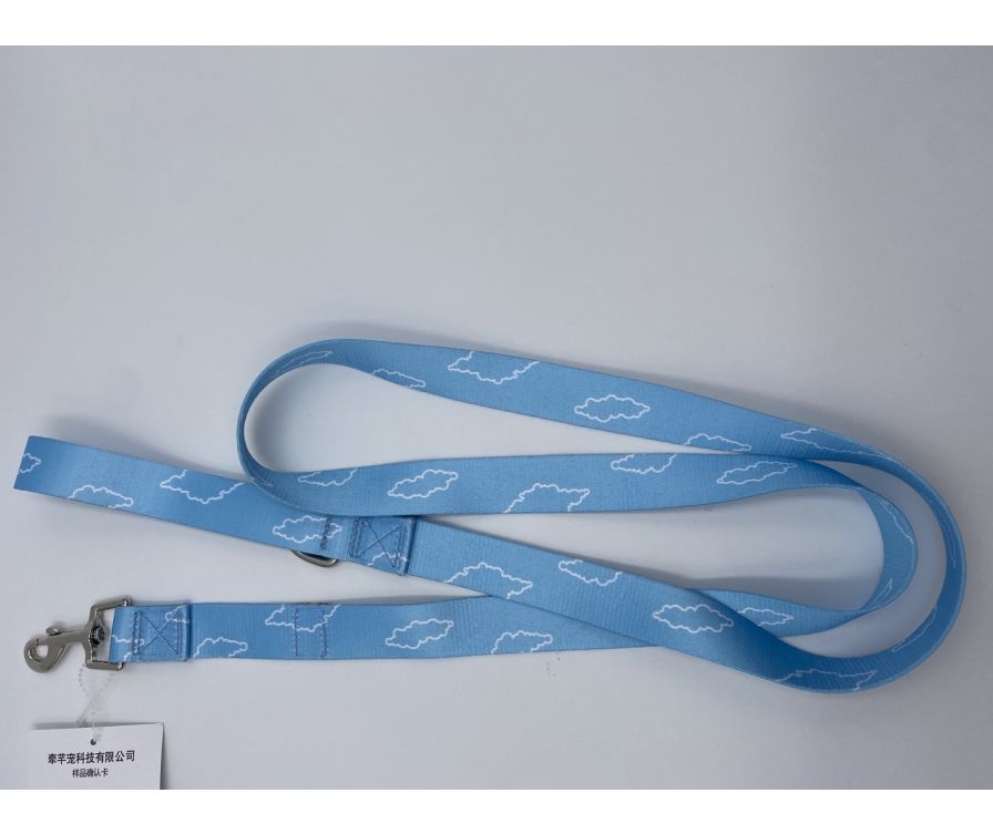 Coloradio Pet Leash - 2.5*150cm(Blue)