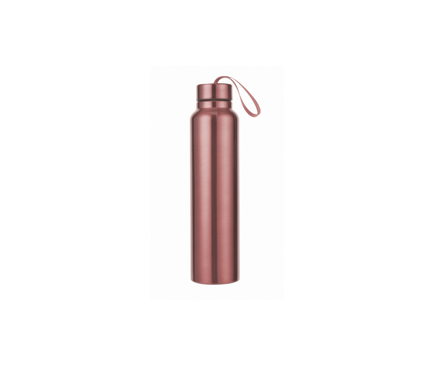 Stainless Steel Water Bottle with Strap for Sports, 950mL(Rose Pink)