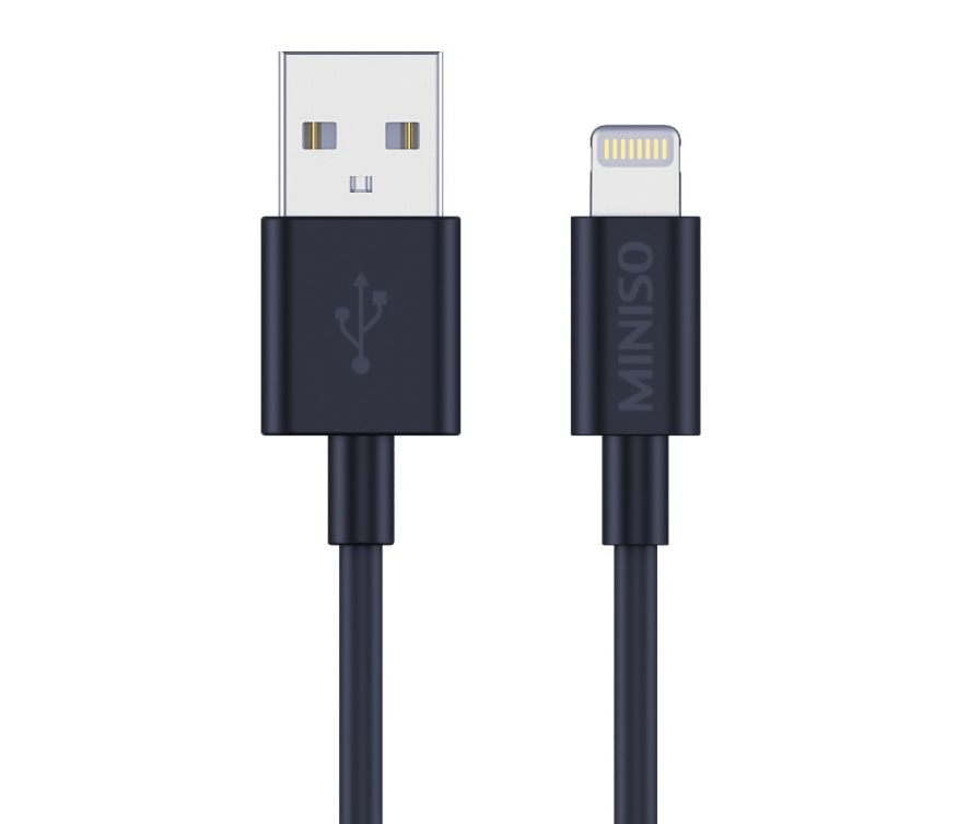 Зарядное устройство USB с разъемом Lightning