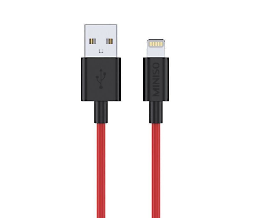 Charging Cable with Lightning Connector