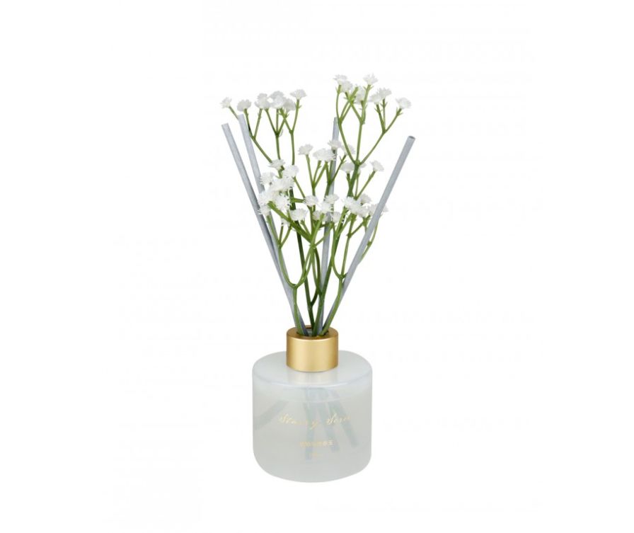 Starry Series Reed Diffuser (Amber & Tuberose, 100mL)		